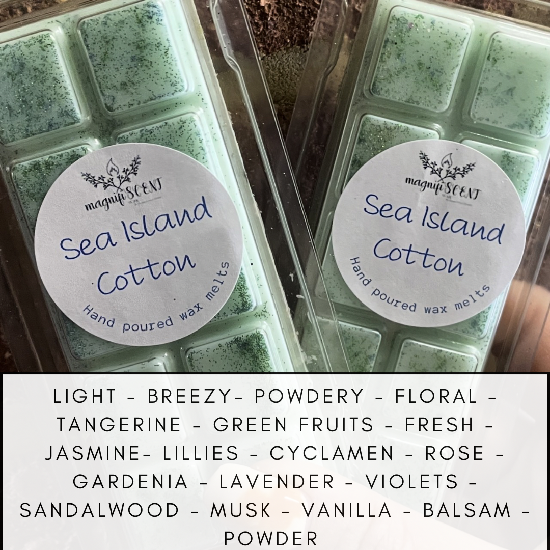 Large wax bars - Beach /summer inspired