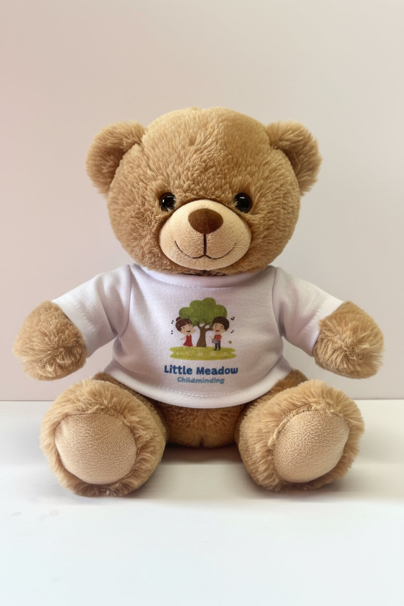 Teddy Bear With Personalised T-shirt