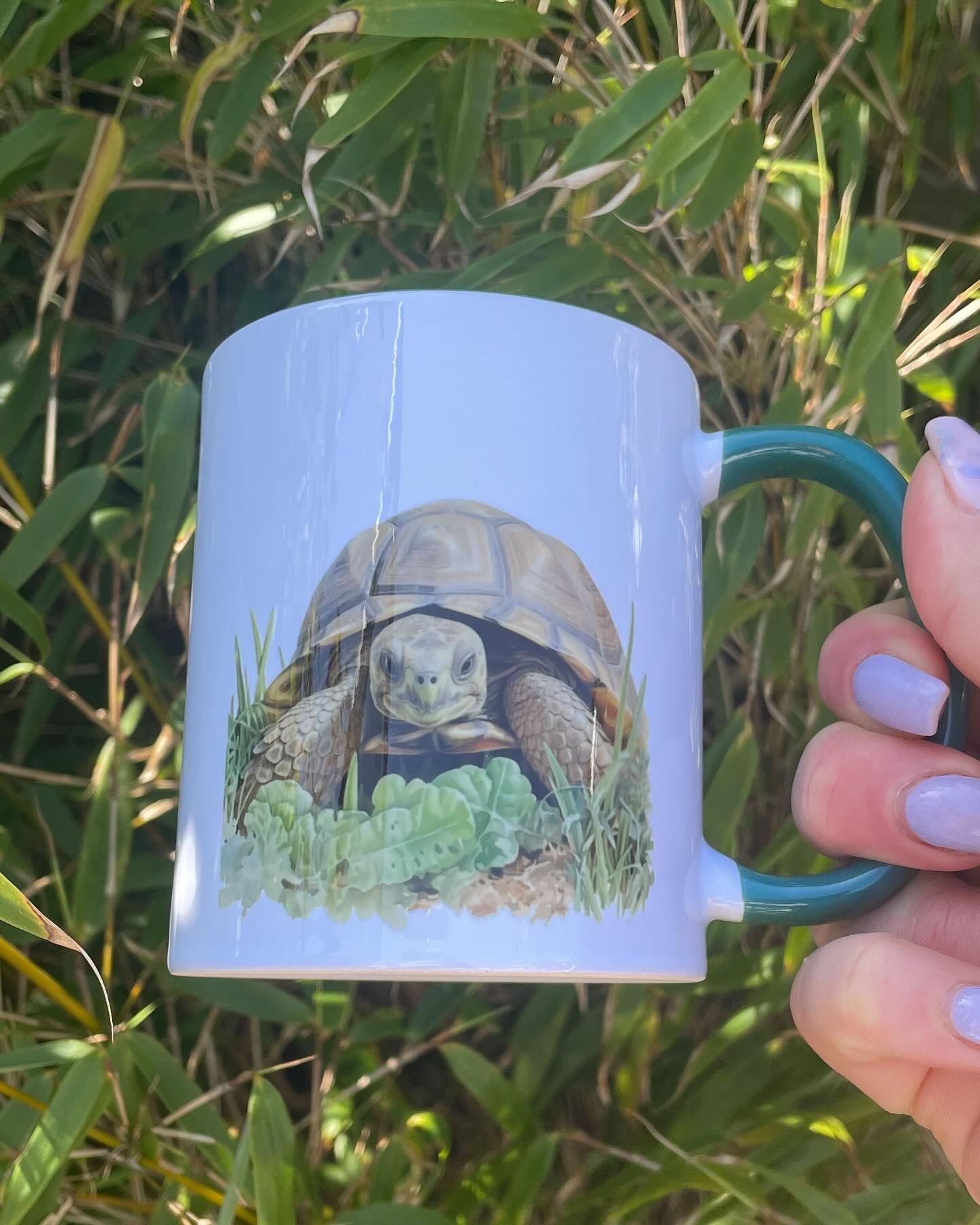 11 ounce Mugs