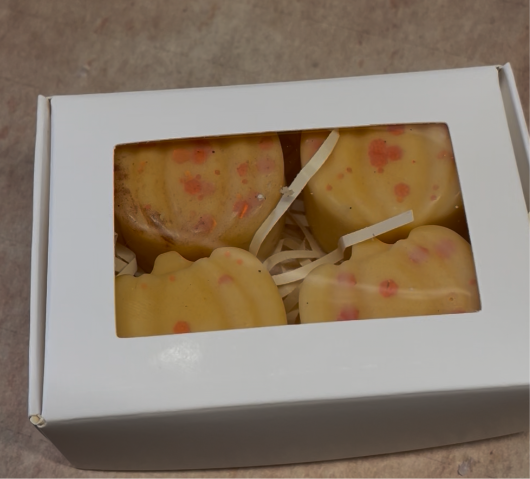 Box of four pumpkin wax melts
