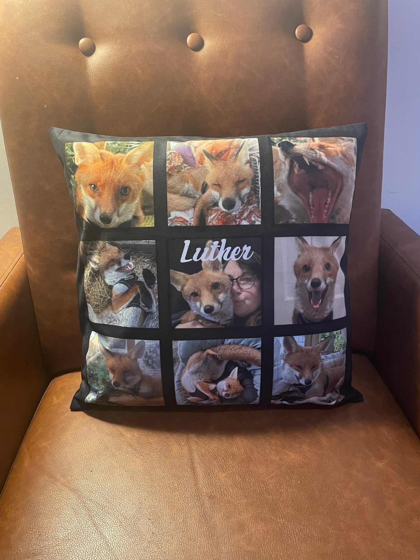 Photo cushion