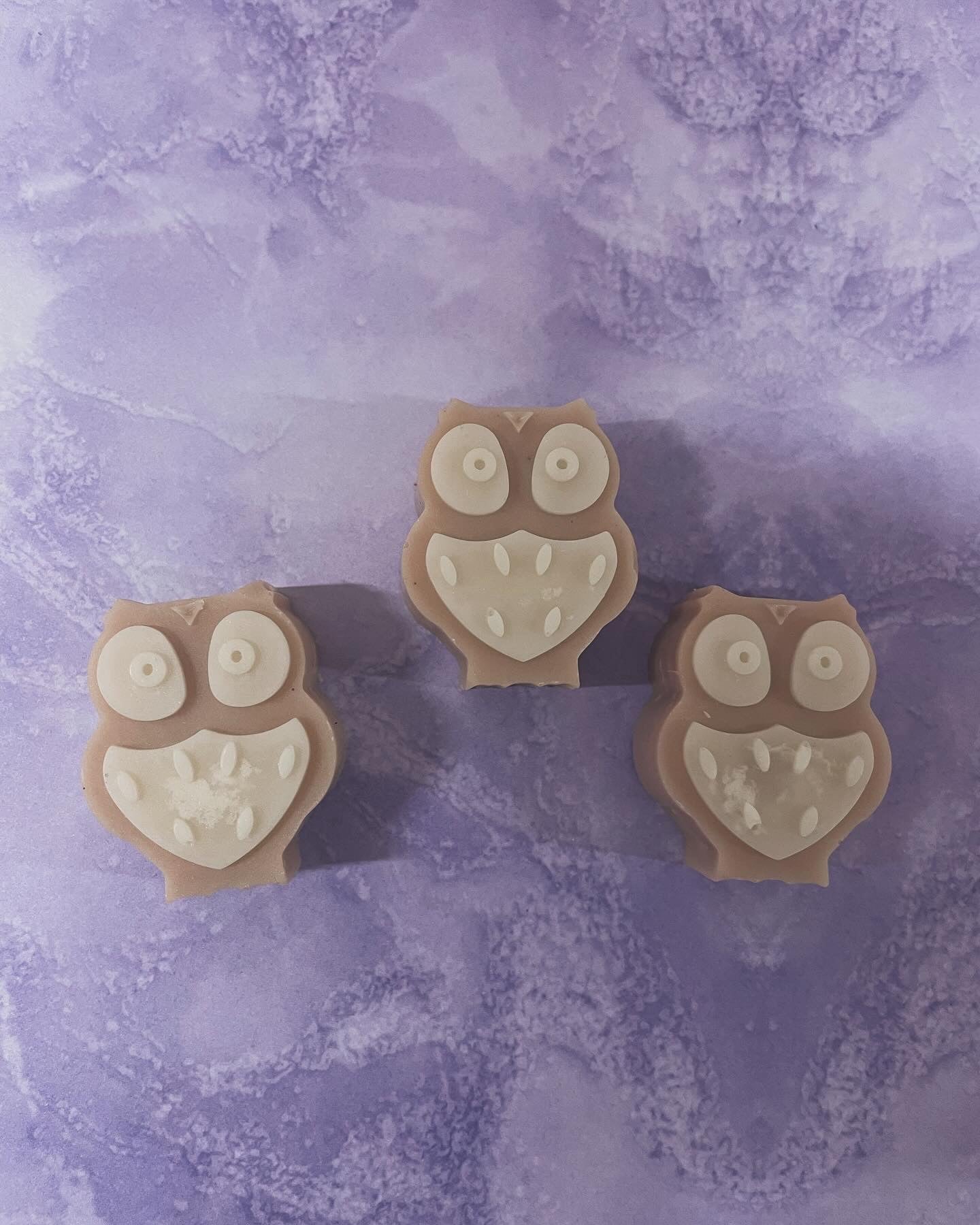 Bag of owls