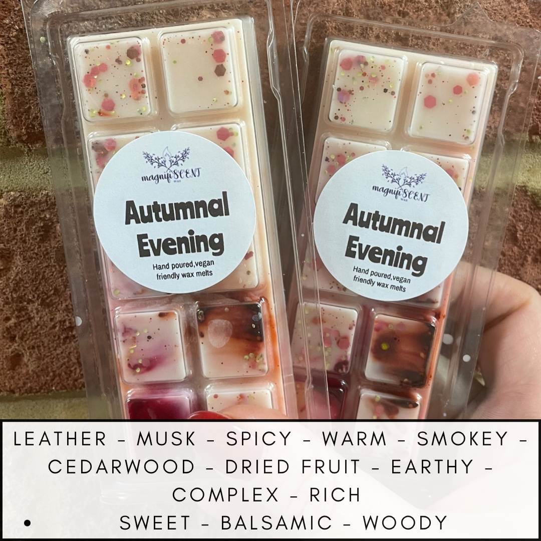Large wax bars - Autumn/cosy scents