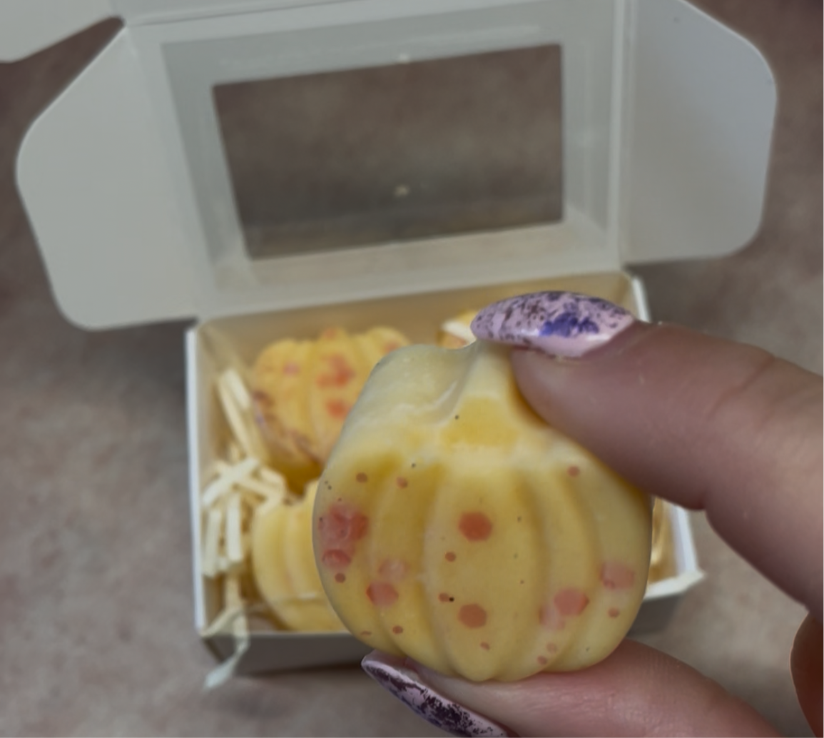 Box of four pumpkin wax melts