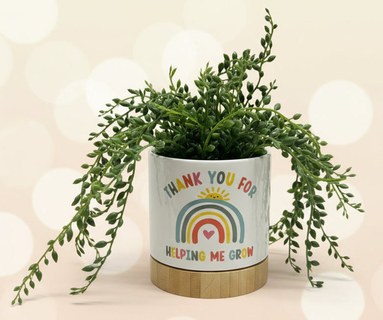Plant pots with bamboo base