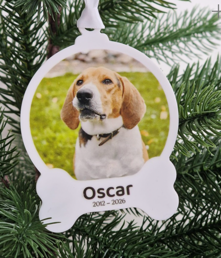 Pet Acrylic Decorations
