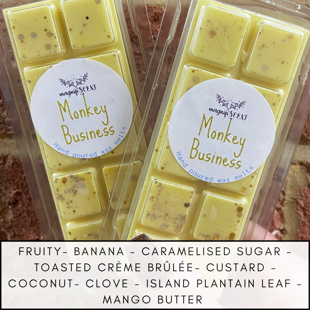 Large wax bars - fruity