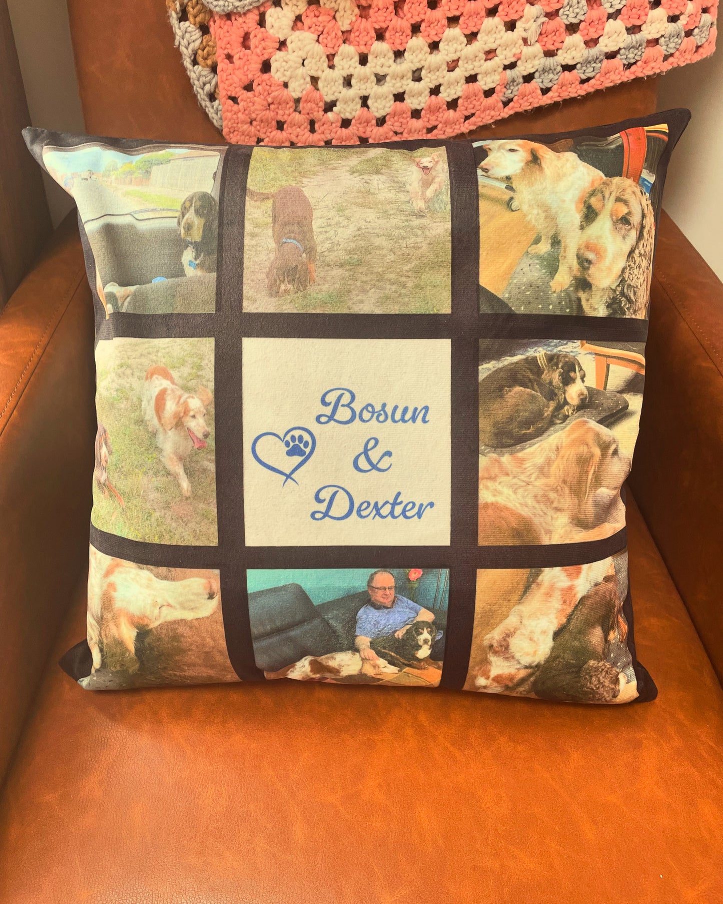 Photo cushion