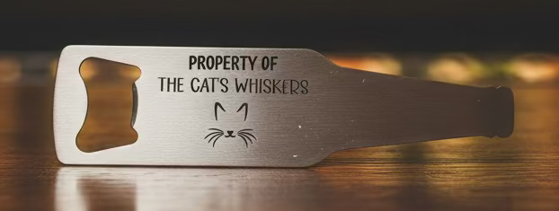 Bottle opener