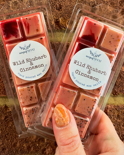 Christmas & winter wax bars