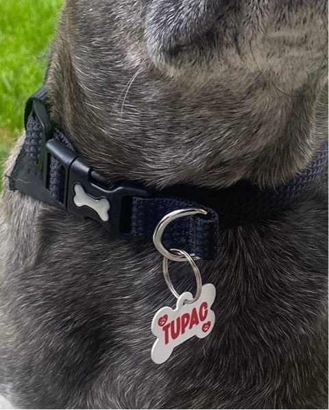 Pet Tags