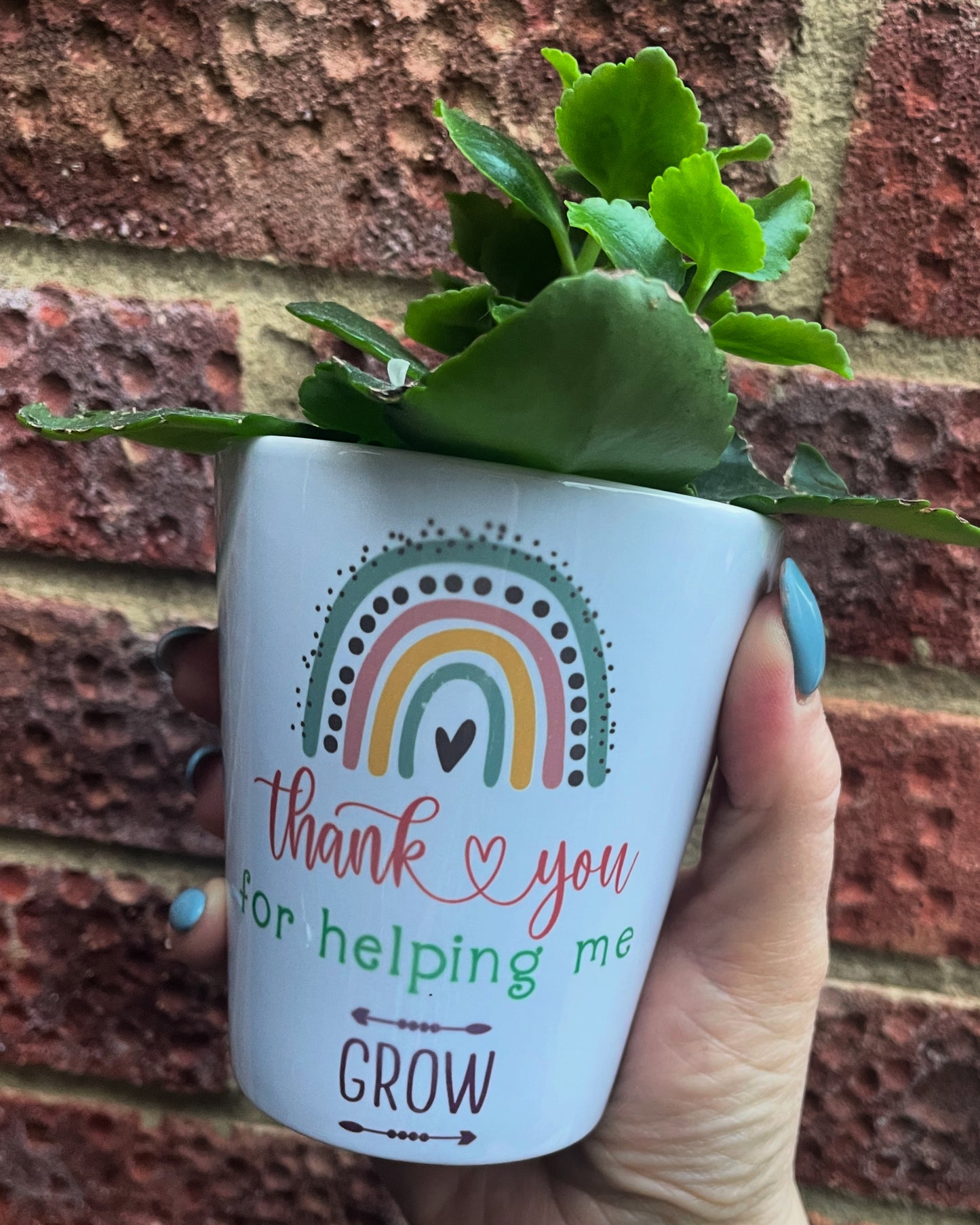 Ceramic plant pot and plant