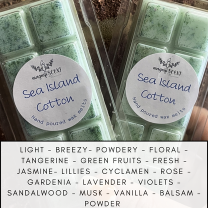 Large wax bars - Beach /summer inspired