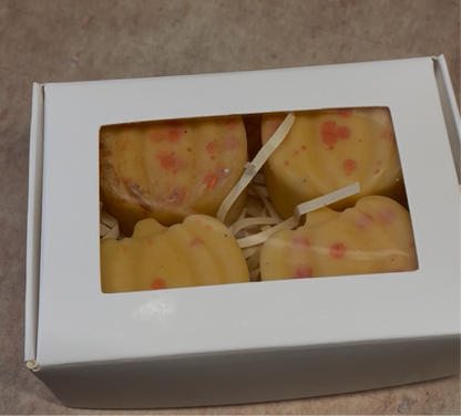 Box of four pumpkin wax melts
