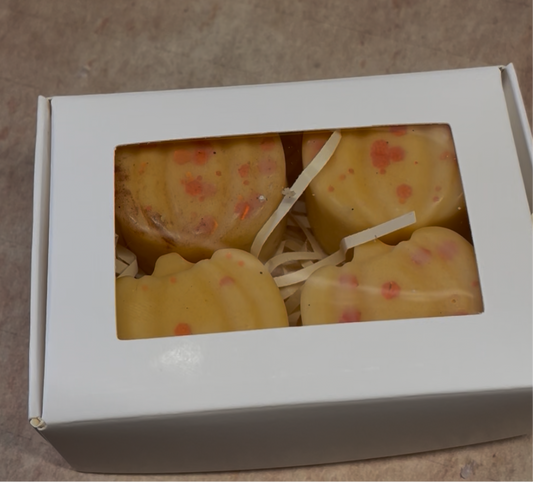 Box of four pumpkin wax melts