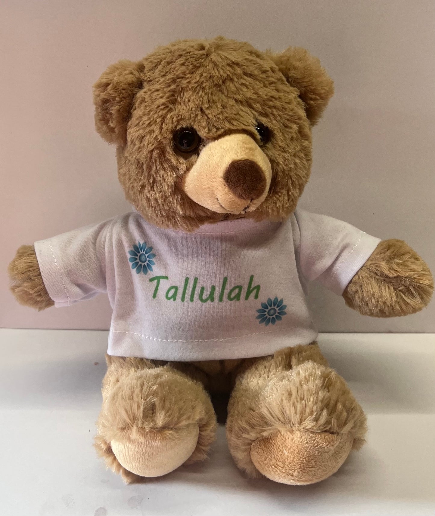 Teddy Bear With Personalised T-shirt