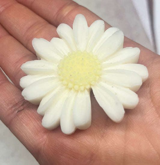 Boxed floral wax melts