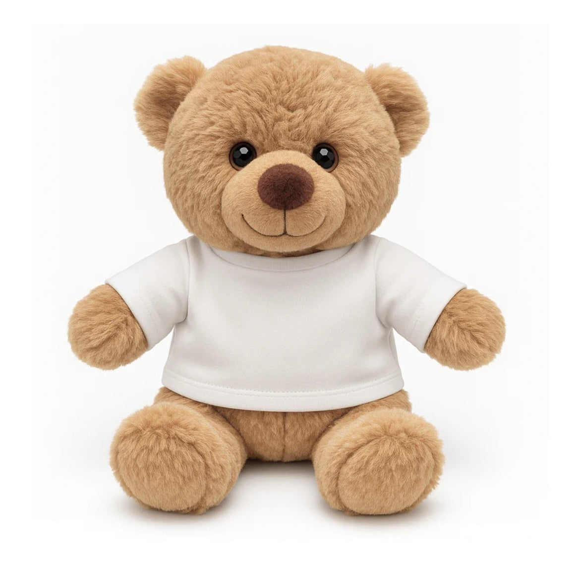 Teddy Bear With Personalised T-shirt