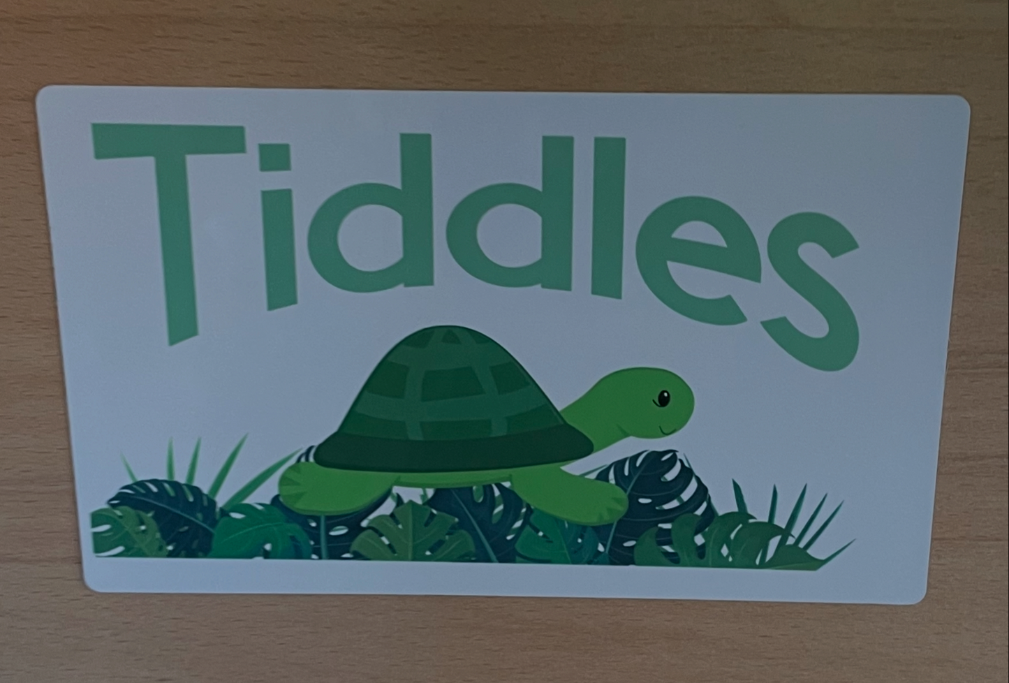 Room signs