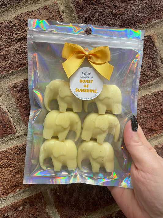 Elephant wax melts