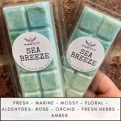Large wax bars - Beach /summer inspired