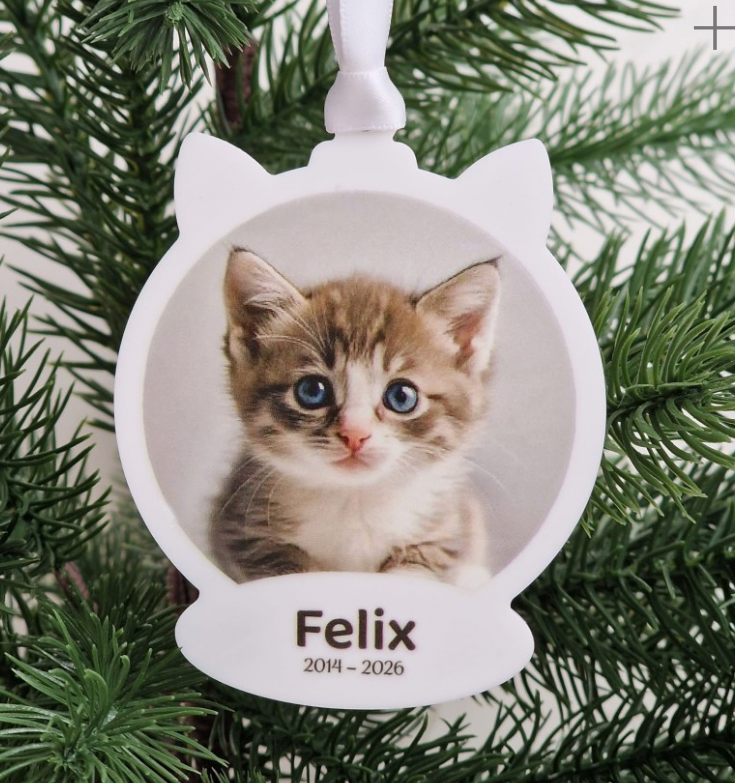 Pet Acrylic Decorations