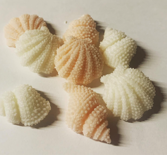 Bag of shells