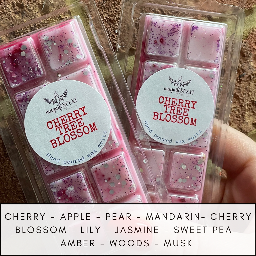 Large wax bars - fruity