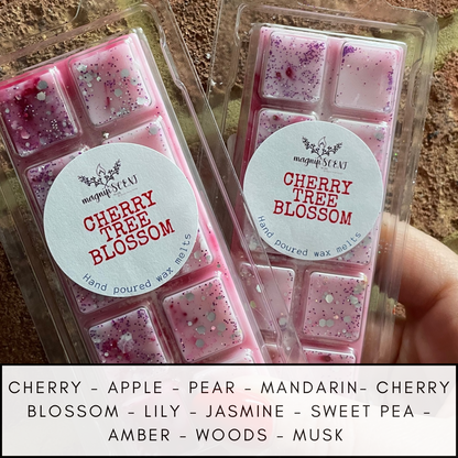 Large wax bars - fruity