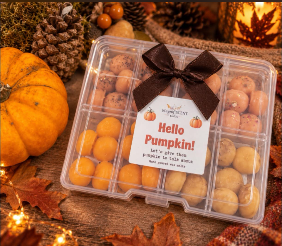 Hello pumpkin scoopie boxes