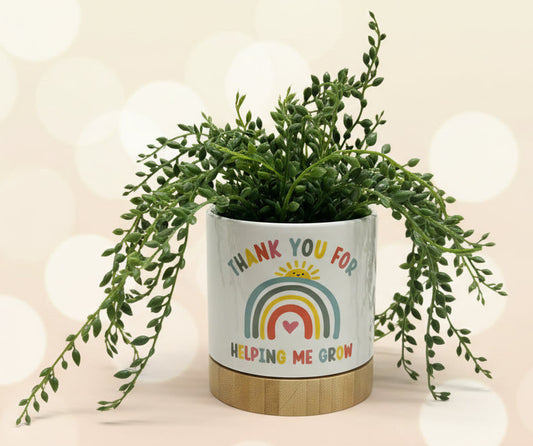 Plant pots with bamboo base