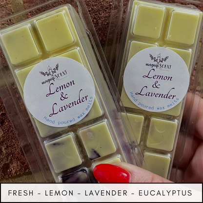 Large wax bars - floral  and outdoors scents