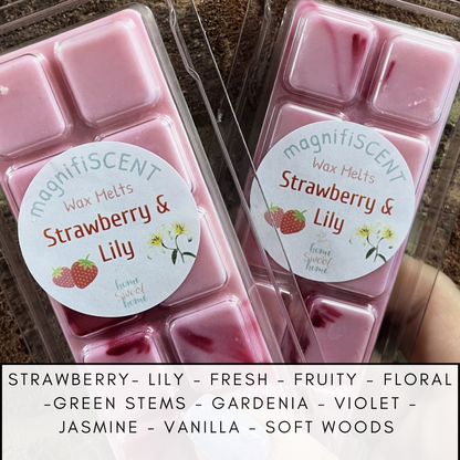 Large wax bars - Laundry inspired & fresh scents