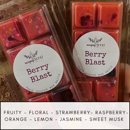 Large wax bars - fruity