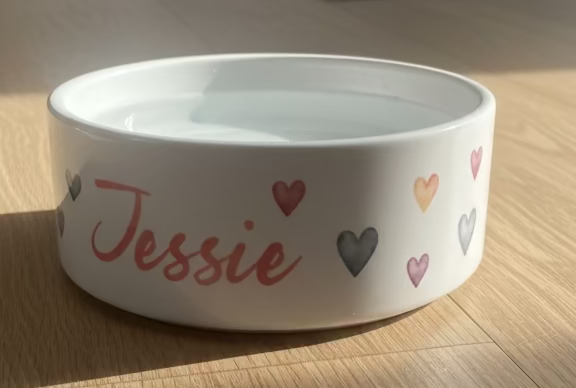 Ceramic pet bowls