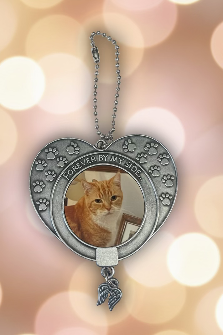 Pet memorial double sided hanging keepsake