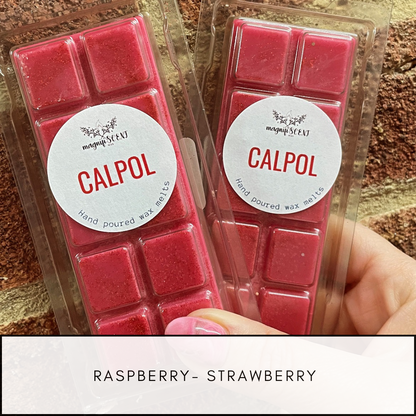 Large wax bars - fruity